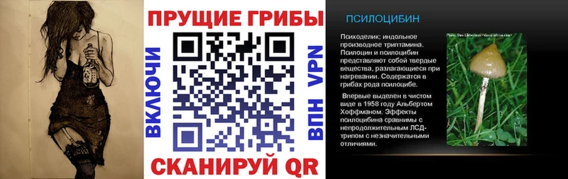 Псилоцибиновые грибы GOLDEN TEACHER  Углегорск 